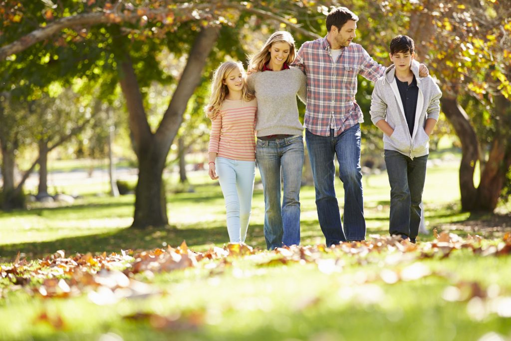 31050336 - family walking through autumn woodland